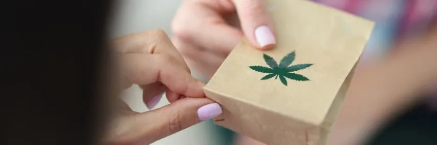 The Benefits of Using Cannabis Delivery Services in New York