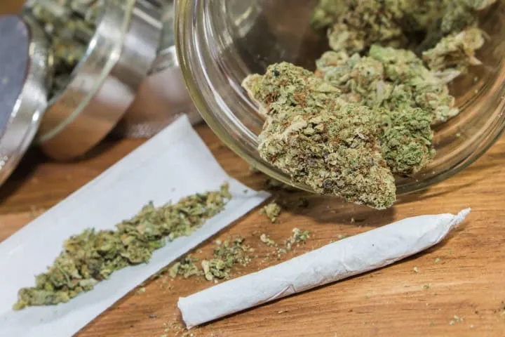 Your Go-To White Plains Dispensary