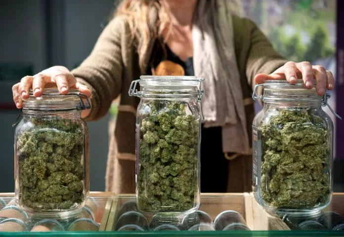 Premier Cannabis Destination in White Plains, NY