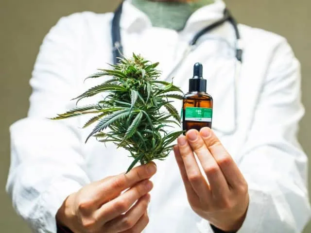 Cannabis in White Plains: A New Era at Cannabis Realm