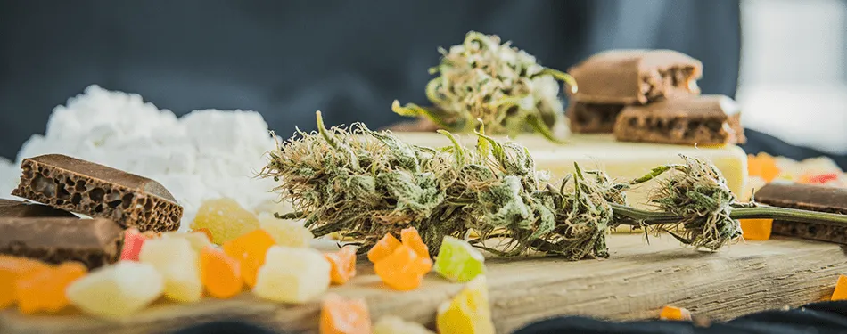What Does 5mg of THC Feel Like? NY Edibles Guide