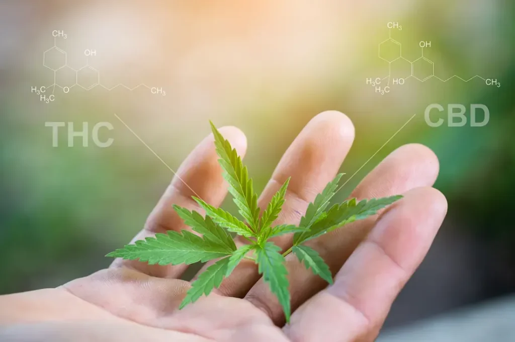 What’s the Right Dose of THC