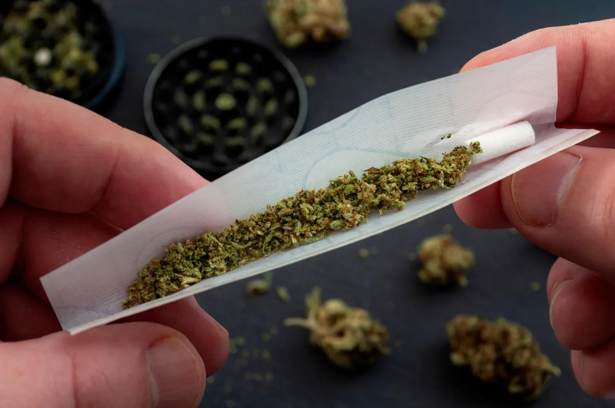 rolling paper filled with cannabis