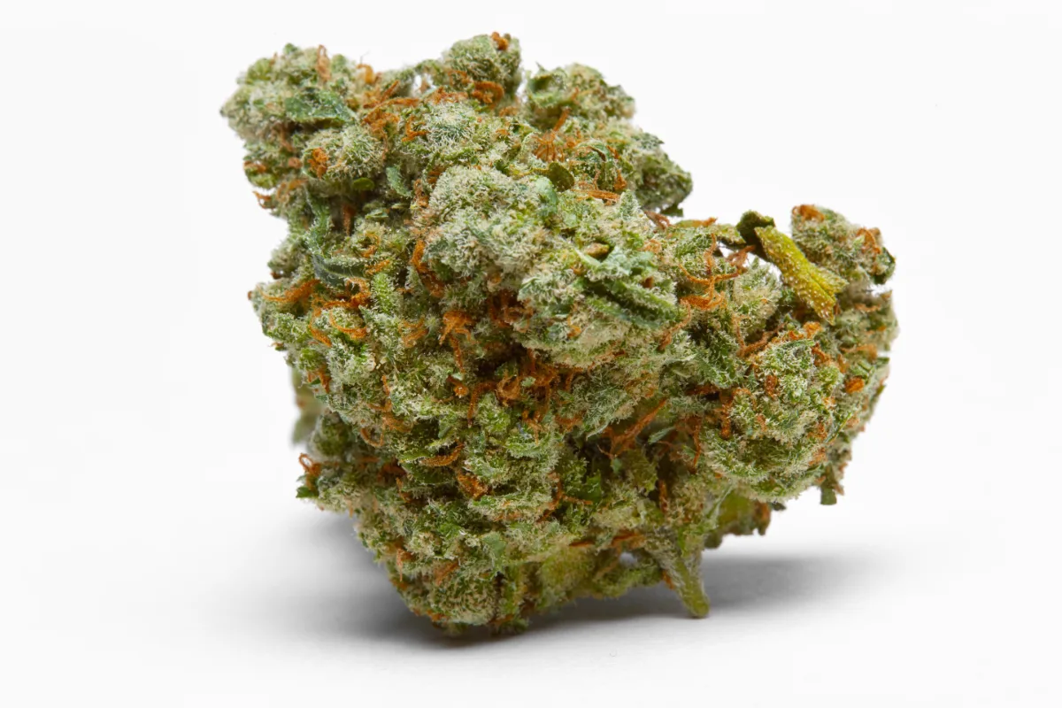 Cannabis
