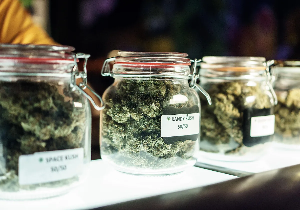 cannabis in jars